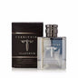 Territoire Platinum 100ml EDP Men (Como Invictus)